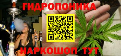 шишки Пенза
