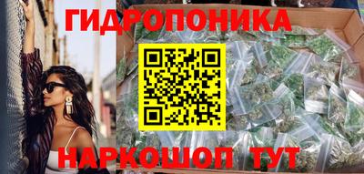 шишки Пенза