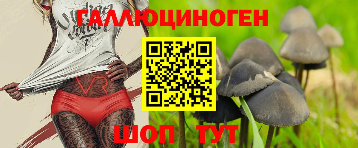Галлюциногенные грибы Psilocybine cubensis  Вход с VPN  Сибай 