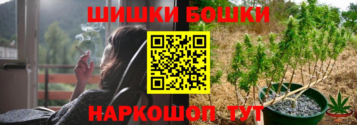 Канабис планчик Сибай